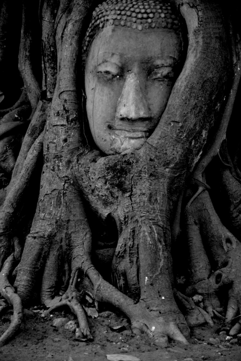 Bild 14.04.19 um 12.55