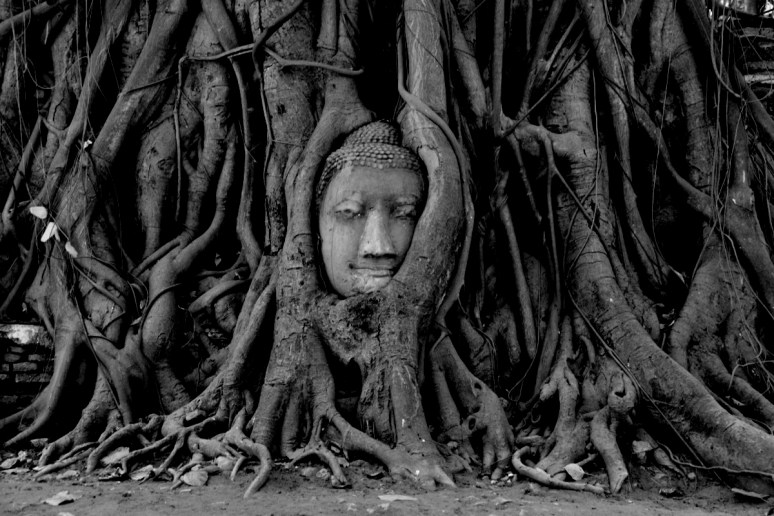 Bild 14.04.19 um 13.00