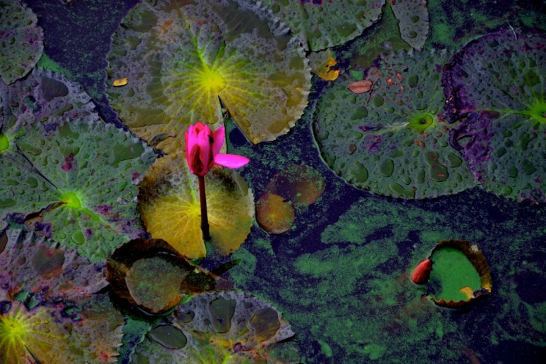 Bild 17.04.19 um 20.06